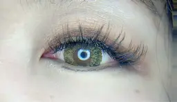 マツエク付け放題(カラーMIX)