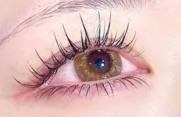 🩶下まつげエクステ付け放題🩶(ミンク)