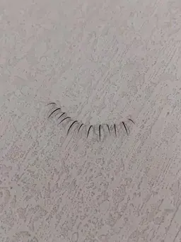 【下まつ毛単品価格】フラットラッシュつけ放題