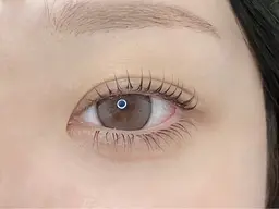 本日限定💜次世代ラッシュリフト上💜