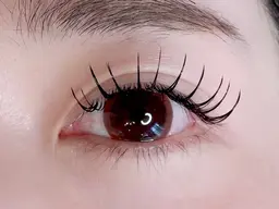 🐻🤎【フラットラッシュ】🐻🤎上140本初回オフ込み