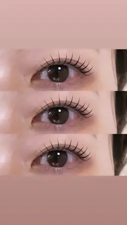 パリジェンヌラッシュリフト 🕊️🌿 オフなし