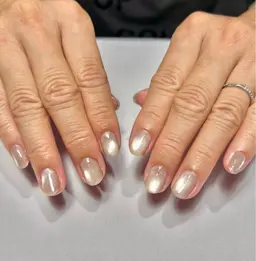 【オープン特別価格】マグネット/フラッシュ ワンカラー