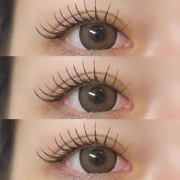 バインドロック🌷(100束)