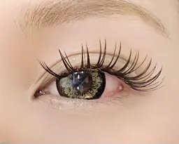 バインドロック100束