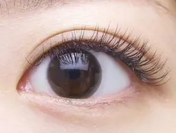 フラットラッシュつけ放題 160本以上(両目)