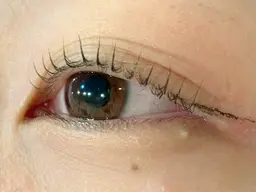 【✨人気NO.1✨】ビューラー式まつげパーマ+毛先トリートメント+ブラックコーティング2800円