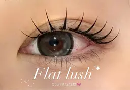 無料モデルフラットラッシュ100本🎀(目尻流めデザイン)※補足事項必ずお読み下さいお読み頂いた方のみ施術可能になります