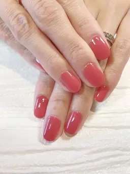 【ジェルオフありorなし】ジェルワンカラーorラメグラデーション/オフィス向けカラーございます❣️