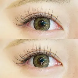 オフなし 💖フラットラッシュ100本💖束感可能❣️