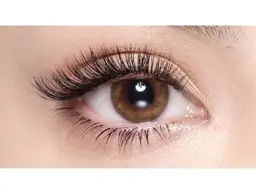 バインドロック100束オフ込🎀5,980円