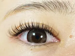 【新規】❤️持続期間1.5倍❤️バラつかずモチがいいと好評❤️ 2Dエクステ 140本(オフ込み) 6400円★