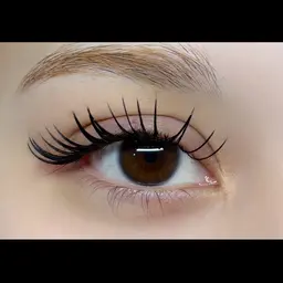 マツエク フラットラッシュ80本