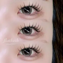 【前日・当日限定】フラットラッシュ120本🐈🤎