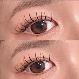 🌴導入記念限定価格🌴マツエク120本まで付け放題✨コーティングトリートメント込み✨