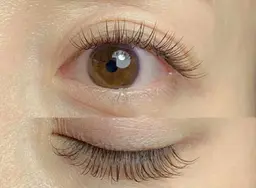 🍄超軽量フラットラッシュ🦋120本コース、オフ+550二回目から➕1000