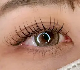 【まつげエクステ】スーパーフラットラッシュ120本★イベント・推し活にも◎【完全個室】