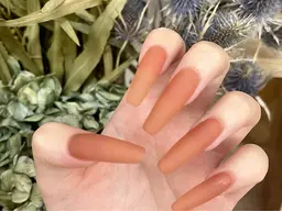 長さだし×ワンカラー/オフなし