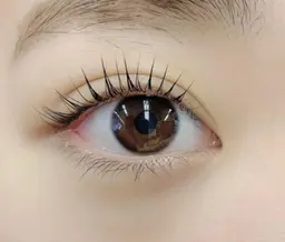 上下パリジェンヌラッシュリフト