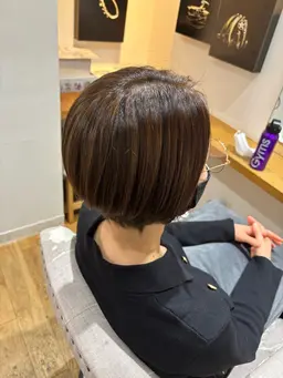 ハイライトモデル