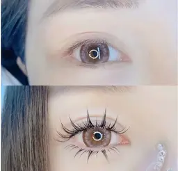 【ワンホンマツエク】ナチュラルワンホン400本+下まつ毛30本 コーティング付き