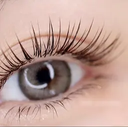 限定価格🌟オフ無料🌟バインドロック160本(80束)