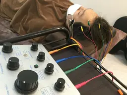 美髪・増毛鍼灸コース