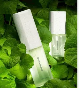 インセルダムフェイシャル