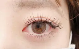 【新規】フラットラッシュ100本🤎(オフ無料)