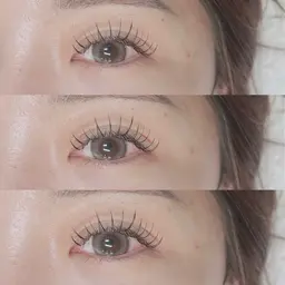 フラットラッシュ120本