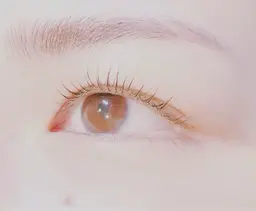 初回ラッシュリフト