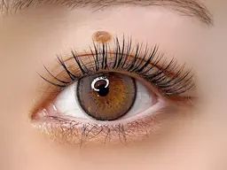 【ナチュラルな仕上がり】🩶フラットラッシュ100本🩶