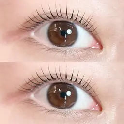 学割🧑🏻🎓ラッシュリフト(コーティング仕上げ)