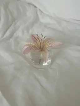 ご相談(日にち、お時間)