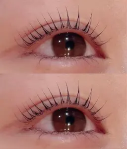 マツパ🪽‪コーティング込み