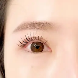 まつ毛パーマ上下