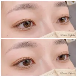 美眉✨アイブロウスタイリング+まつげパーマ(上)セットメニュー⛓️🦋⟡.· [荻窪/阿佐ヶ谷/高円寺]