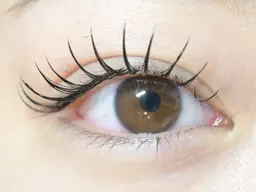 【しっかりボリューム重視】フラットラッシュ 160本