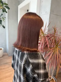 透明感ワンカラー＋上質トリートメント🕊️¥5000