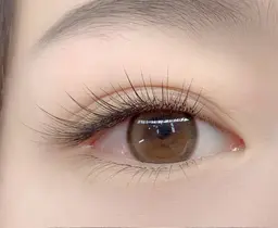 フラットラッシュ60本