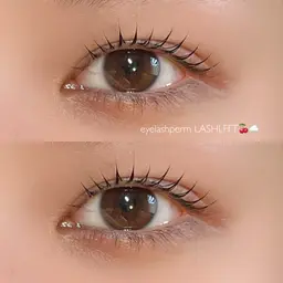 🌷𓏸𓂂𓈒ラッシュリフトorパリジェンヌ《上のみ》【仕上げのコーティング付き】