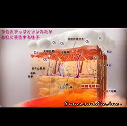 🌿贅沢全身トリートメント🌿