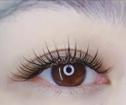 【新規オフ無料★圧倒的持続力】最先端技術！>バインドロック 80束( 130本相当）