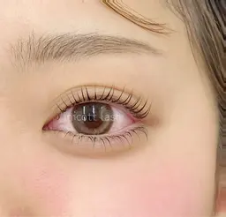 オフ無し・まつ毛パーマモデル募集🦙🌸⋆*注意事項必読・メッセージ返答後確定⚠️