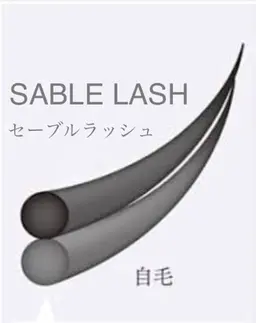 ✳︎プレミアムセーブルラッシュ＊【60本】