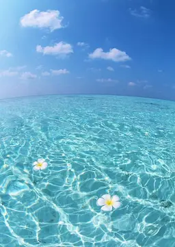 骨格似合わせカット⭐