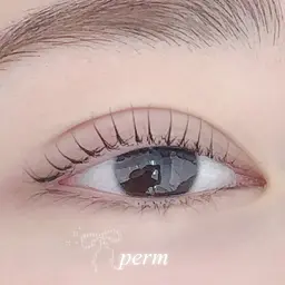 ☁️12月限定クーポン☁️3種類から選べる上まつ毛パーマ+高濃度TR+CT付き💖