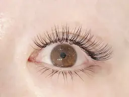 ◾︎下まつげエクステ／～30本までつけ放題◾︎