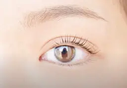 痛みにくいトリートメント配合パリジェンヌラッシュリフトご新規様限定