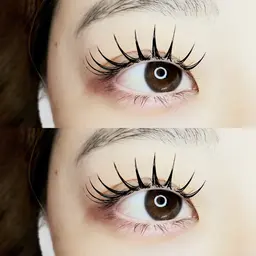 フラットラッシュ 130本